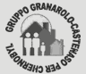 ASSOCIAZIONE GRANAROLO CASTENASO PER CHERNOBYL